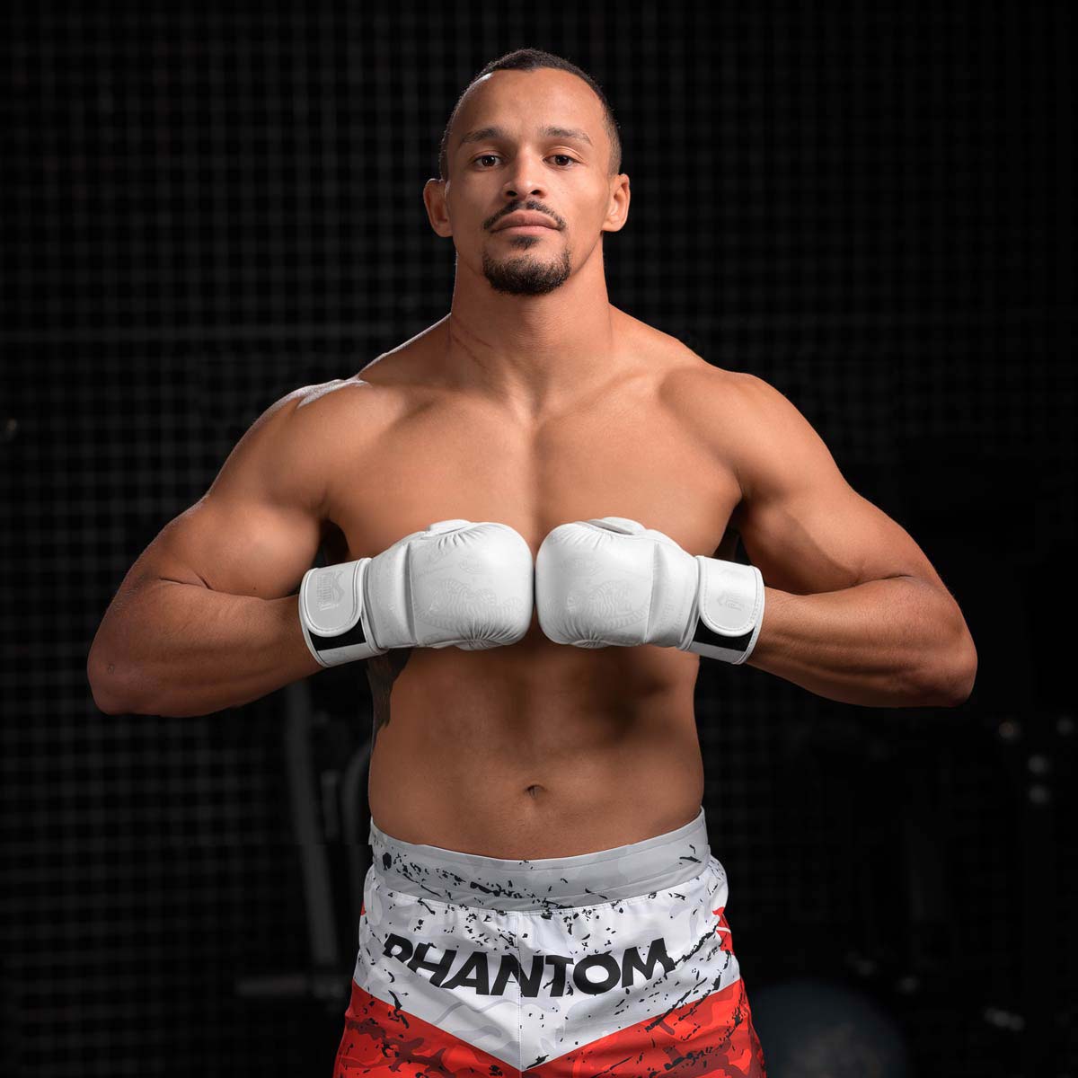 Phantom Athletics MMA Handschuhe Sparring Muay Thai - Frost Weiß