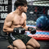 Phantom Athletics MMA Handschuhe Riot Pro