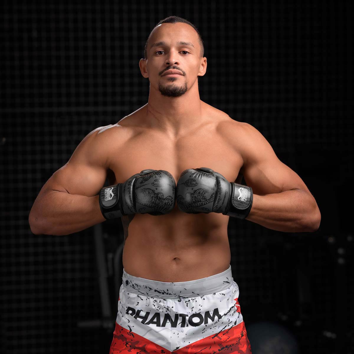 Phantom Athletics MMA Handschuhe Sparring Muay Thai - Grau
