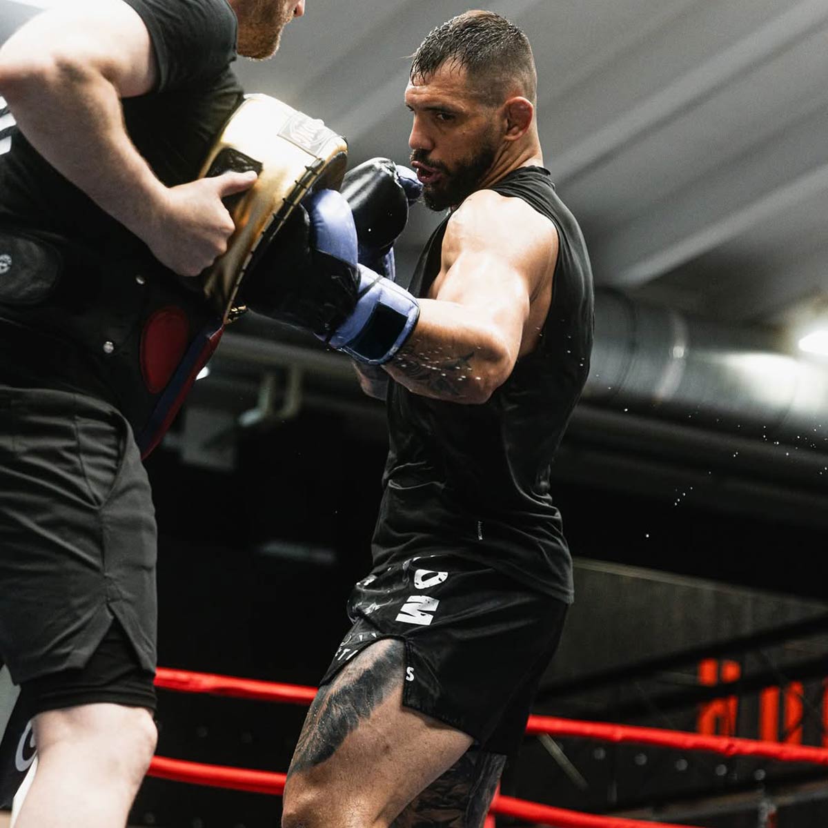 Phantom Athletics Muay Thai Shorts Dobermann - Schwarz