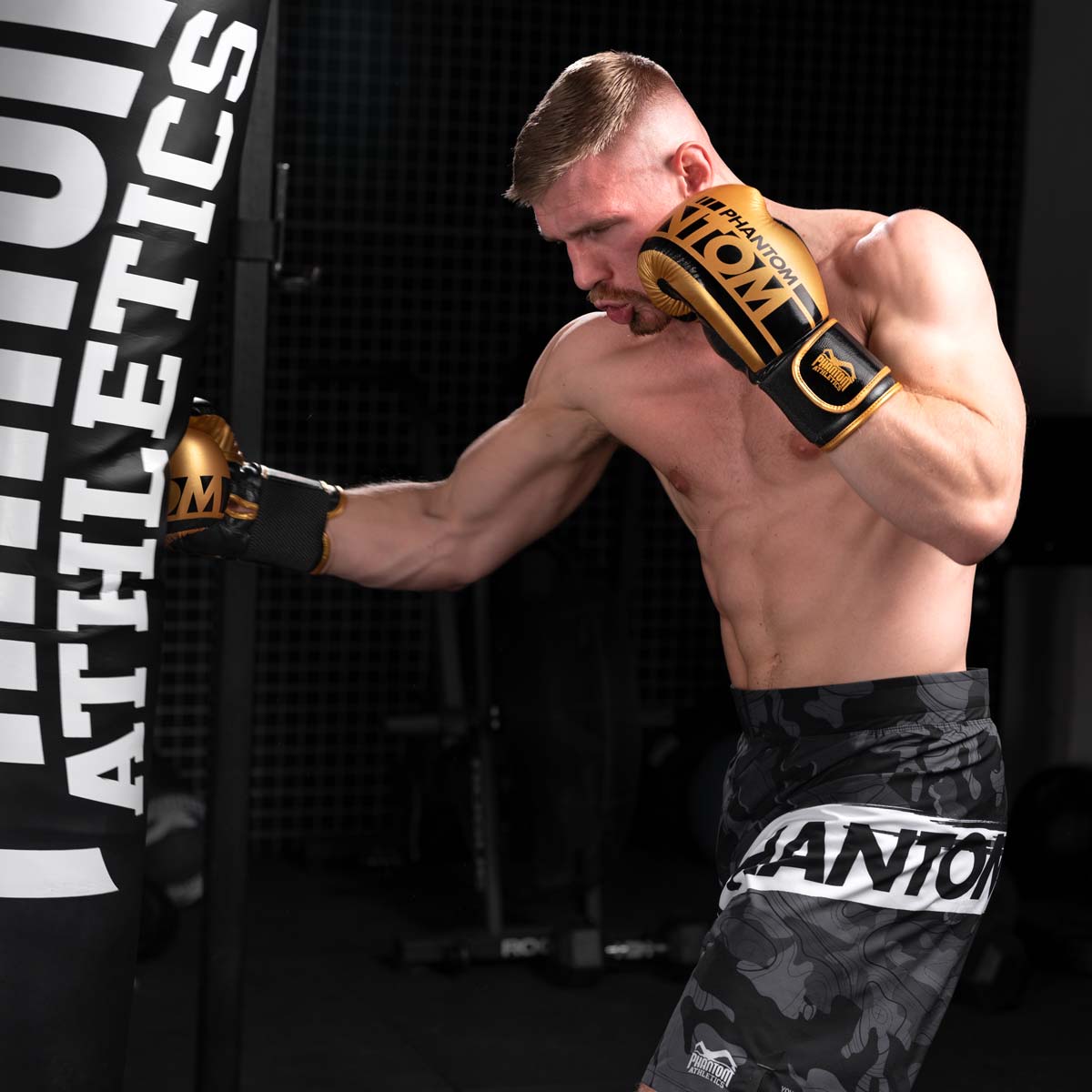 Phantom Athletics Boxhandschuhe APEX Speed - Schwarz/Gold