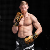 Phantom Athletics Boxhandschuhe APEX Speed - Schwarz/Gold