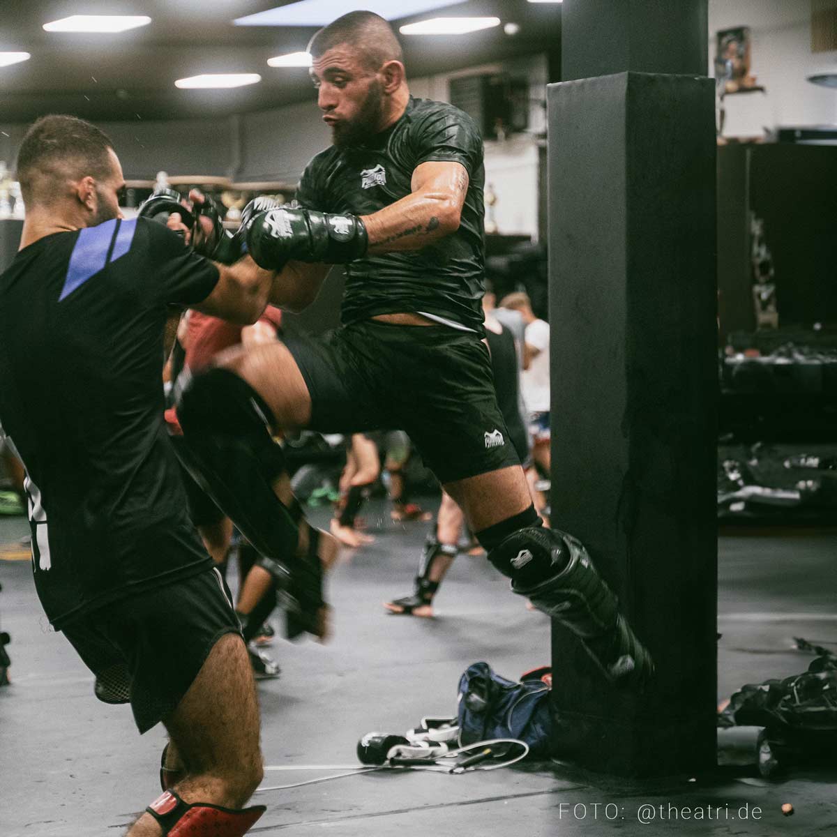 Phantom Athletics MMA Shorts Fusion 2in1 Camo Tiger - Grün