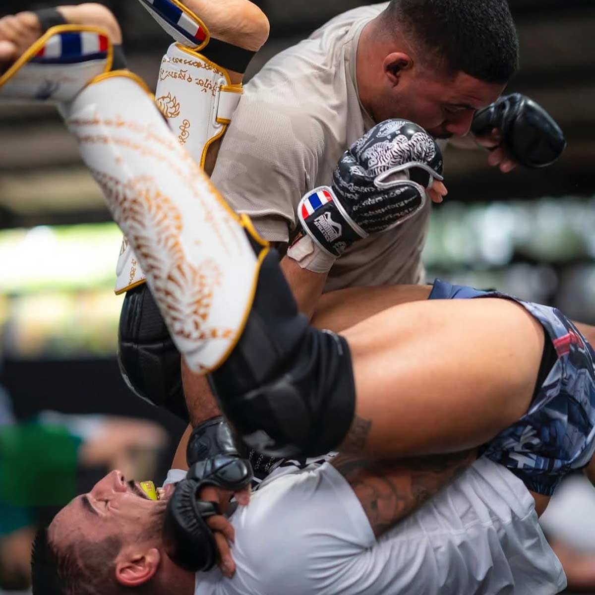Phantom Athletics MMA Shorts FUSION-R - Robotic