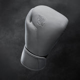 Hayabusa Boxhandschuhe T360 – Sea Smoke