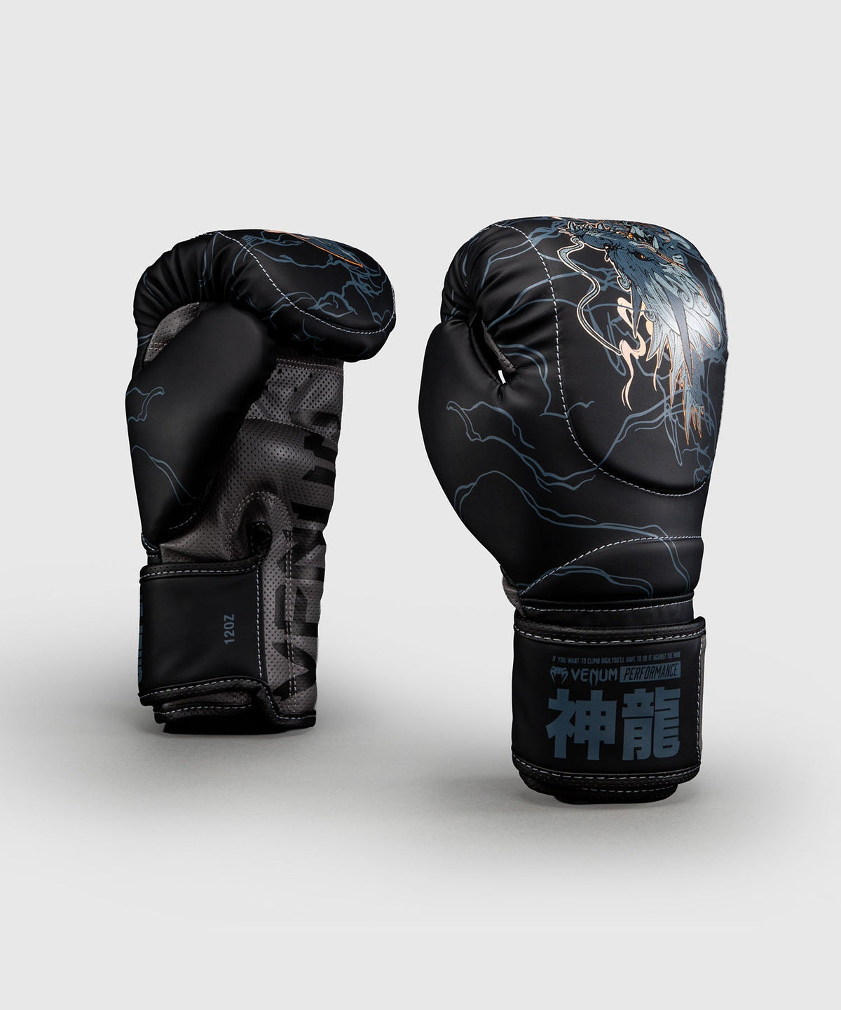 Venum Boxhandschuhe Thunder Dragon - Schwarz/Grau/Kupfer