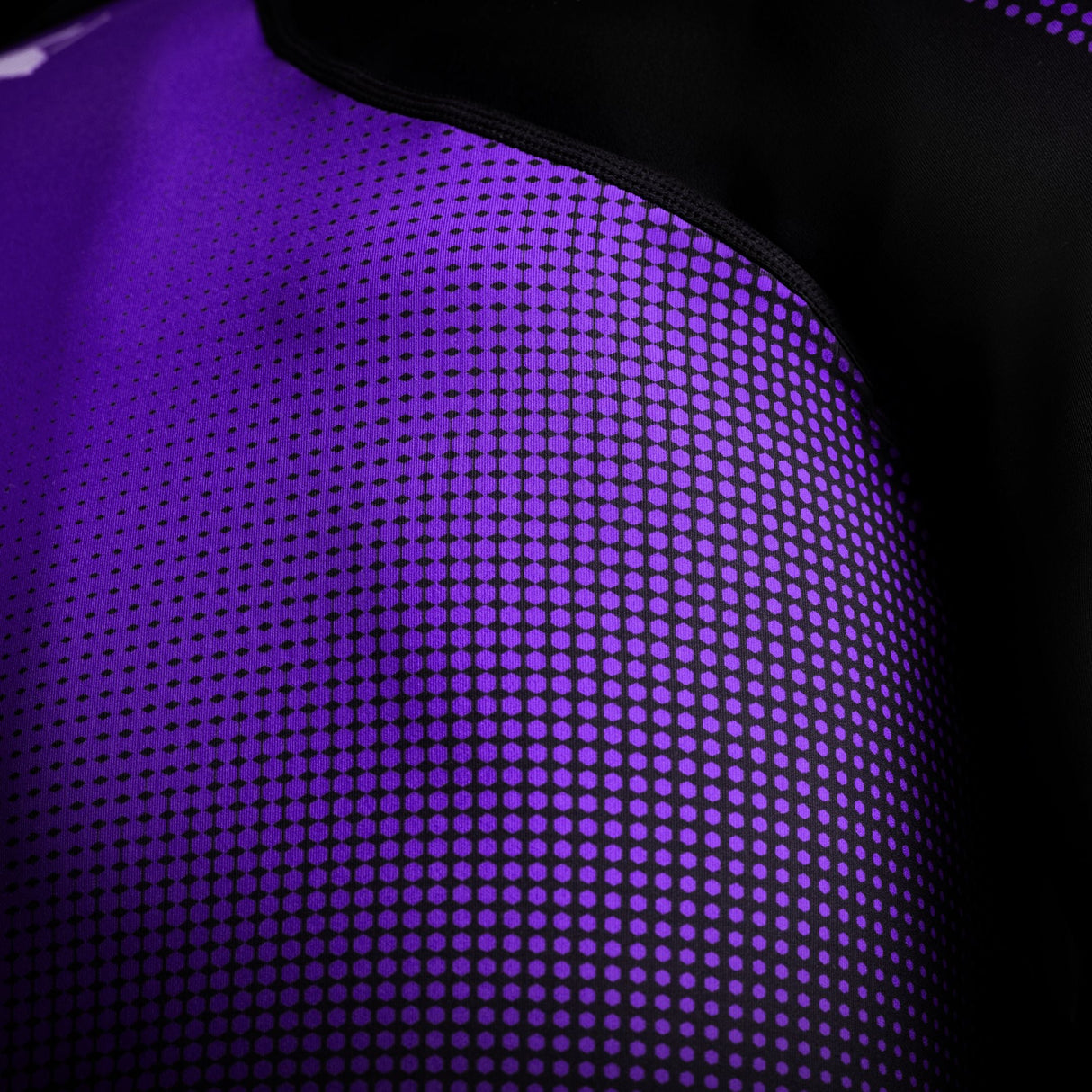 Hayabusa Rashguard Pro Ranked Lange Ärmel - Lila