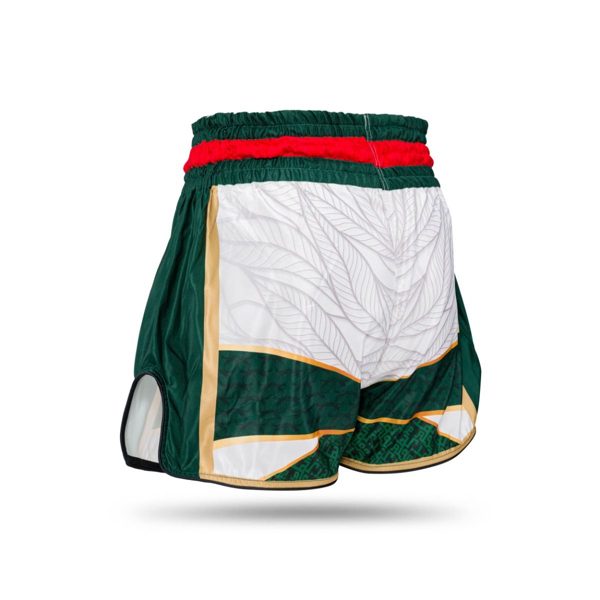 Booster Muay Thai Shorts TBT - Algeria