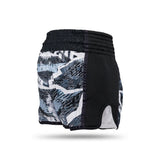 Booster Muay Thai Shorts Alien - Schwarz/Grau