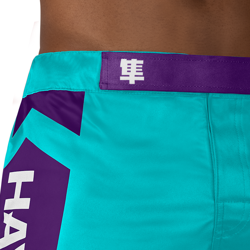 Hayabusa MMA Shorts Icon - Oceaangroen