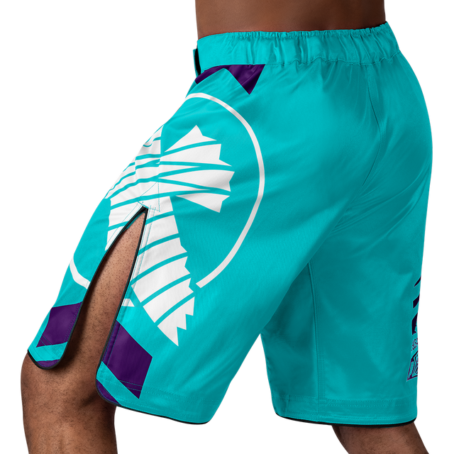 Hayabusa MMA-Shorts Icon Lang - Meergrün