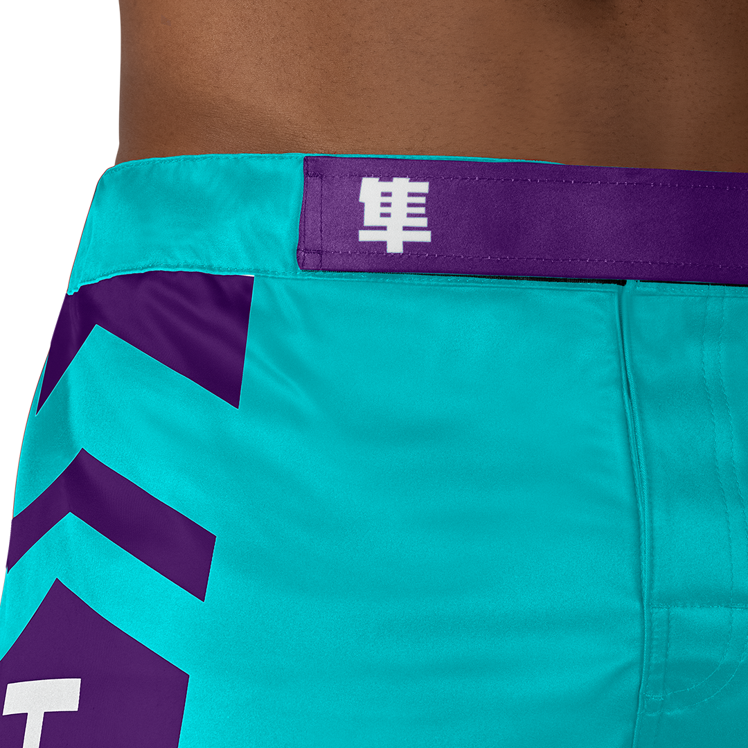 Hayabusa MMA Shorts Icon Lang - Oceaangroen