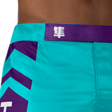 Hayabusa MMA Shorts Icon Lang - Oceaangroen