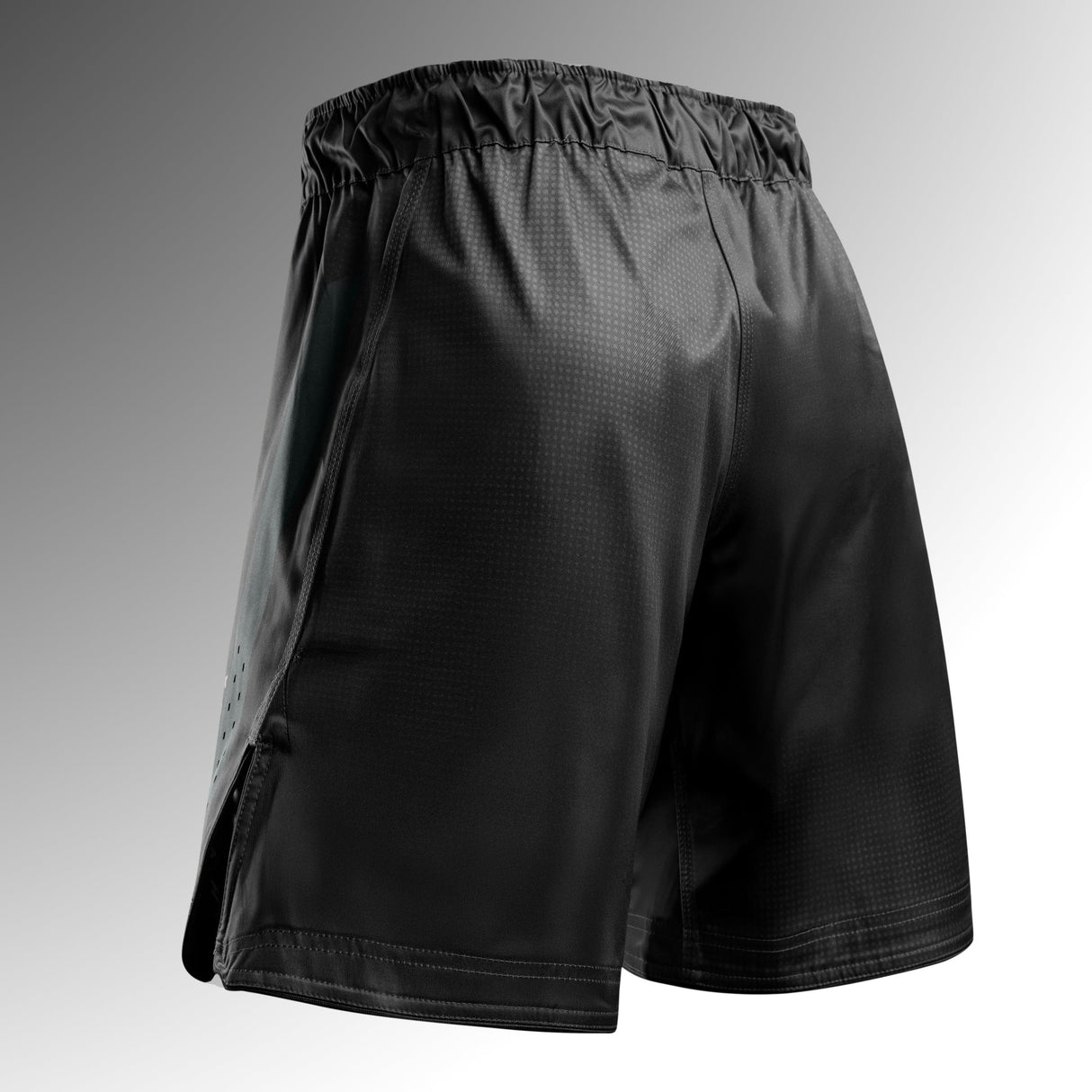 Hayabusa MMA Shorts Core Lang - Zwart