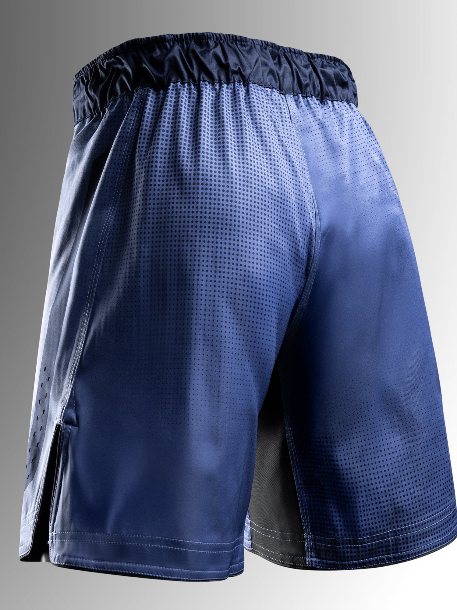 Hayabusa MMA-Shorts Core Lang - Blau