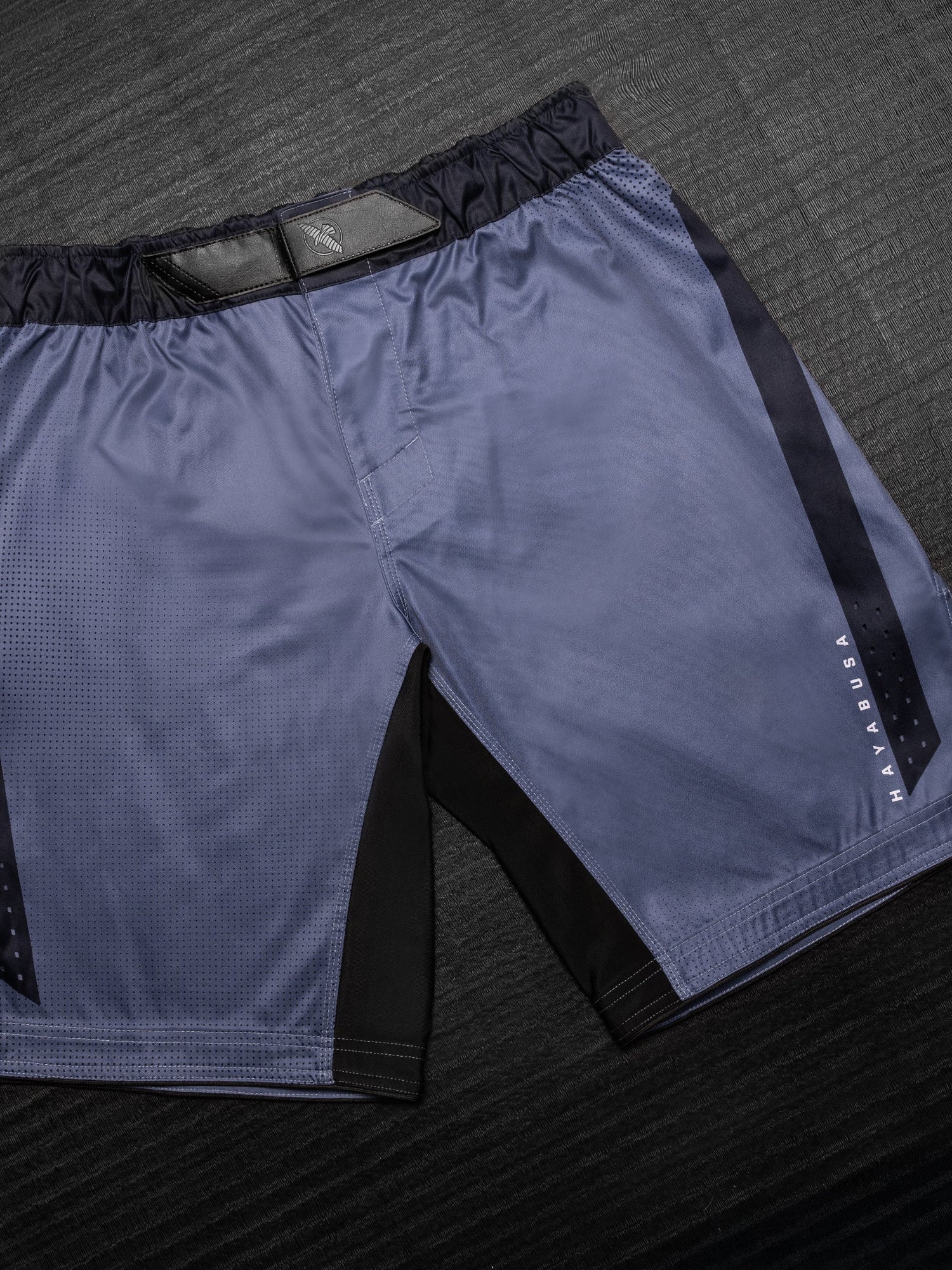 Hayabusa MMA-Shorts Core Lang - Blau