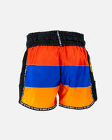 Booster Muay Thai Shorts Country Armenia - Schwarz