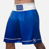 Hayabusa Boxhosen Pro - Blau