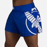 Hayabusa Muay-Thai-Shorts Icon - Blau/Weiß