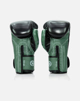 Fairtex Boxhandschuhe FXB V2 - Grün