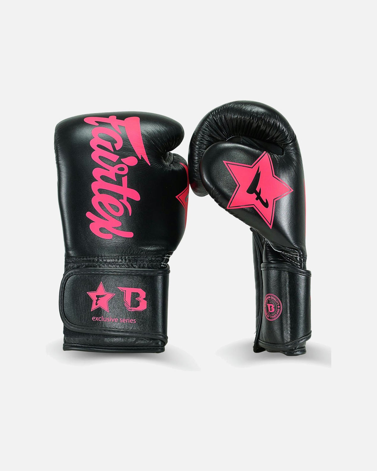 Fairtex Boxhandschuhe FXB V2 - Schwarz