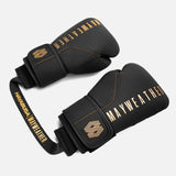 Hayabusa x Mayweather Geruchsentferner - Schwarz/Gold