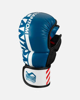 Phantom Athletics MMA-Handschuhe APEX - Blau