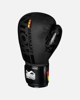 Phantom Athletics Boxhandschuhe Germany - Schwarz