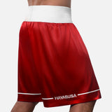 Hayabusa Boxhosen Pro - Rot