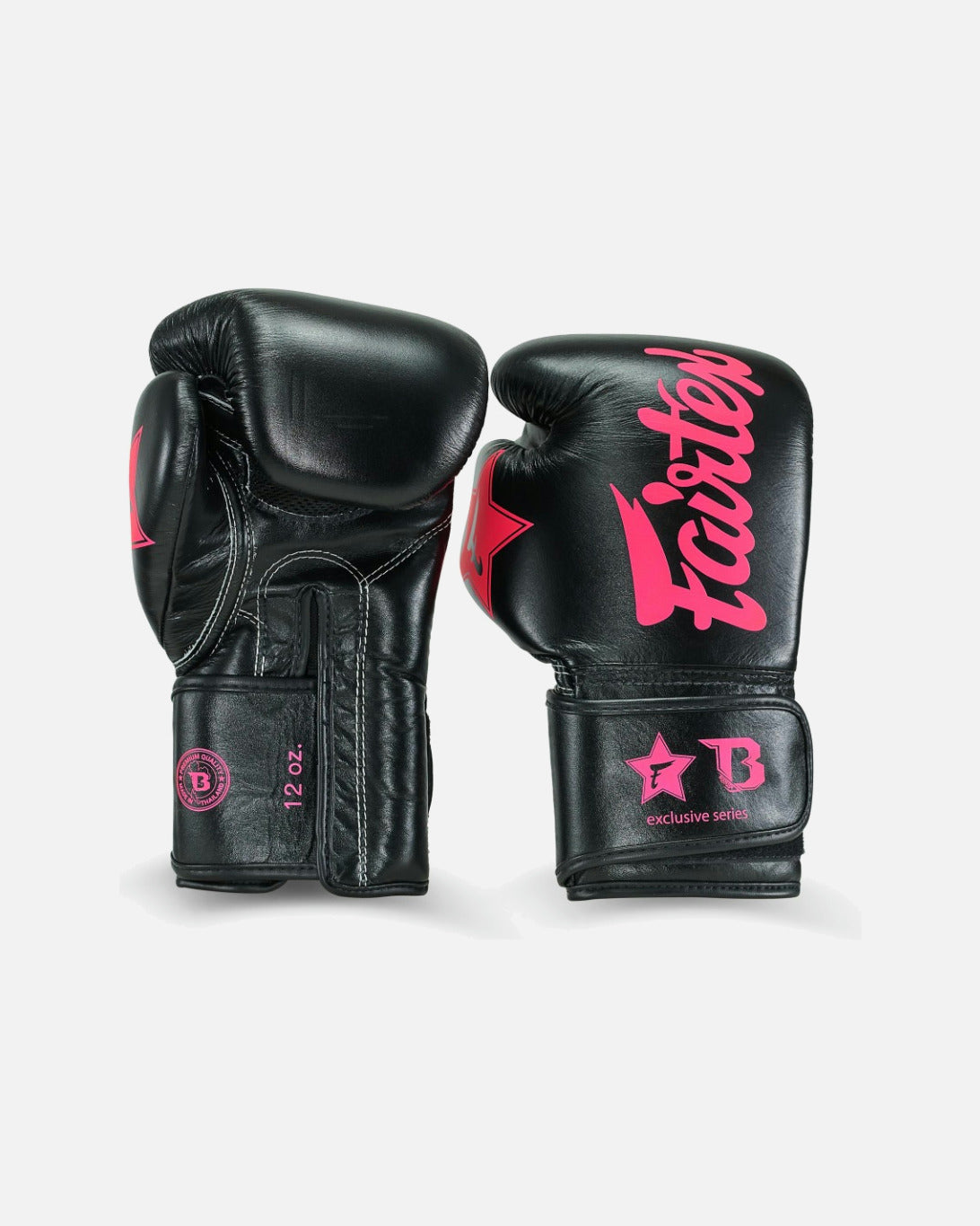Fairtex Boxhandschuhe FXB V2 - Schwarz