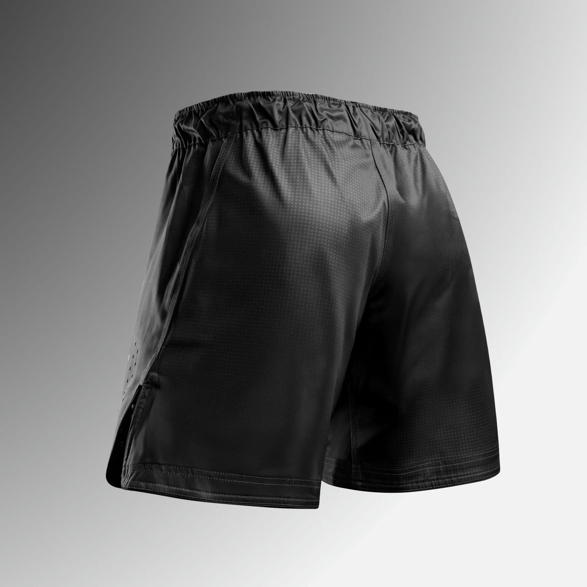 Hayabusa MMA Shorts Apex Core - Schwarz