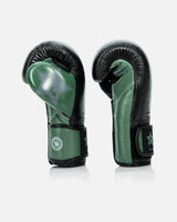 Fairtex Boxhandschuhe FXB V2 - Grün