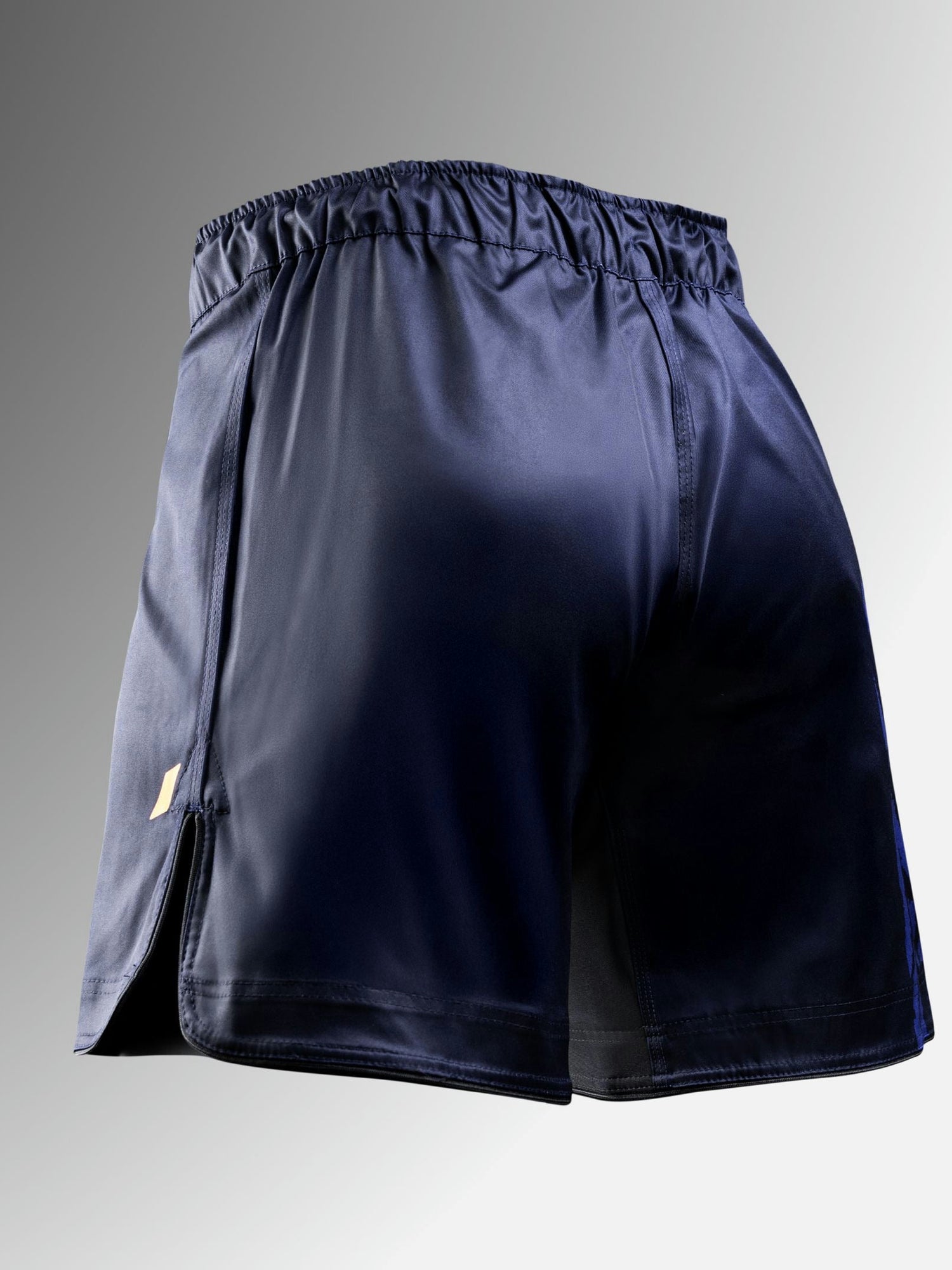 Hayabusa MMA Shorts Apex Vantage - Blau