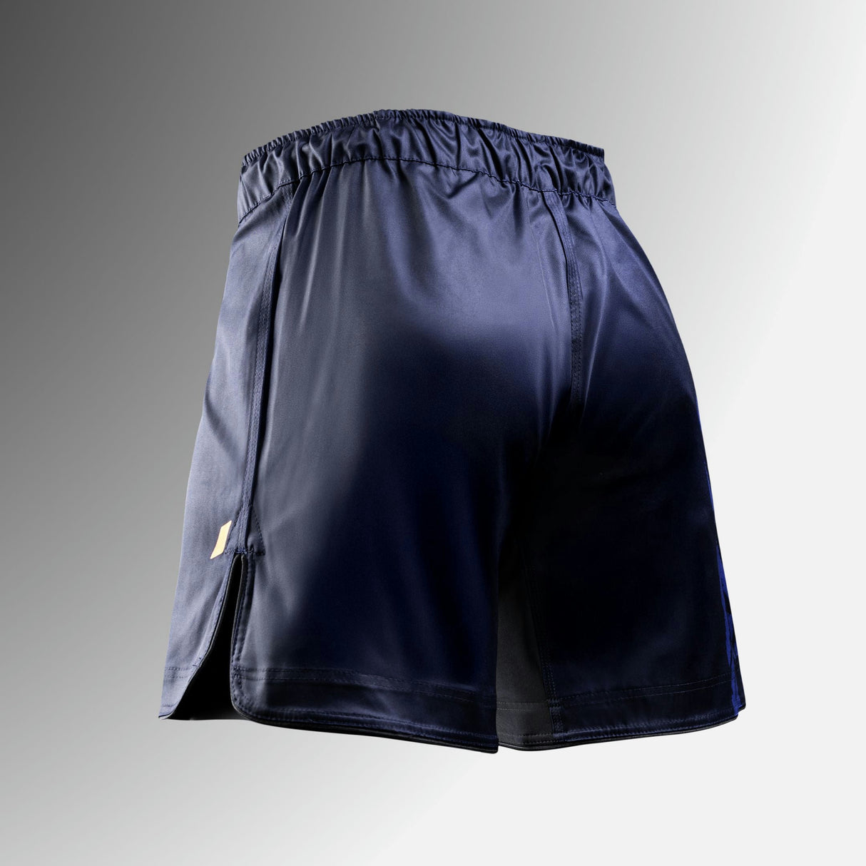 Hayabusa MMA-Shorts Apex Vantage - Blau