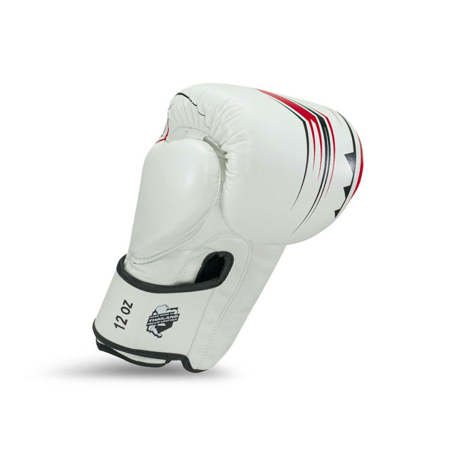 King Pro Boxing Boxhandschuhe BG Spartan - Weiss/Schwarz/Rot