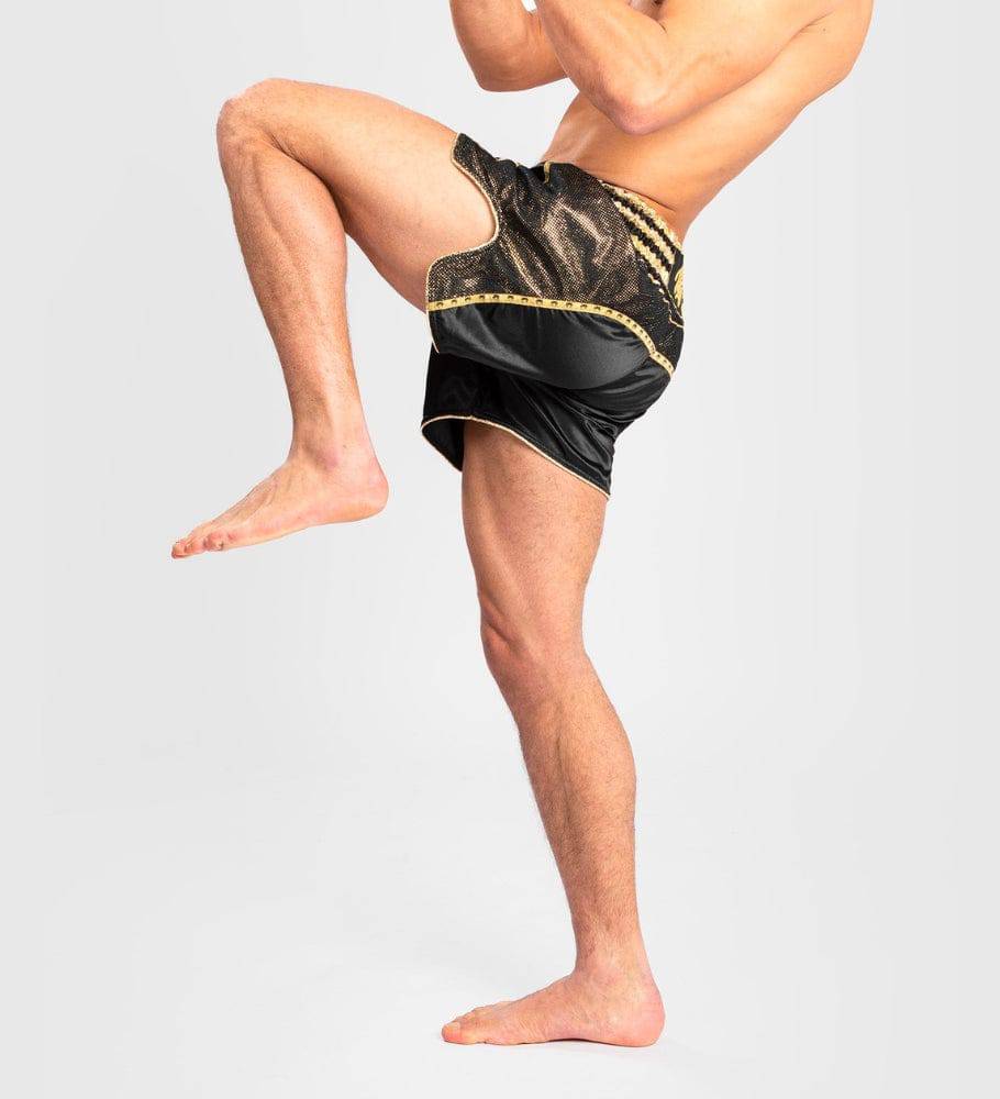 Venum Muay Thai Shorts Absolute 2.0 - Schwarz/Gold - The Fight Company Deutschland