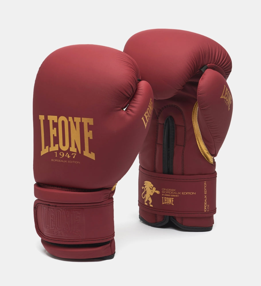 Leone Boxhandschuhe GN059X - Rot/Gold - The Fight Company Deutschland